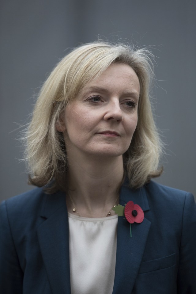  Justice Secretary Liz Truss wants to tackle the wave of violence and drugs in UK jails