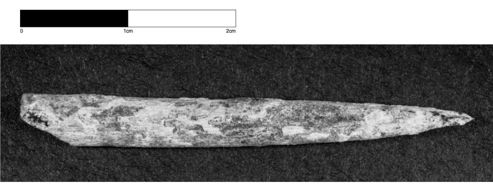 A sharpened bone point, dated to around 40,000 years ago, is now the oldest bone tool found in Australia after being discovered at the site