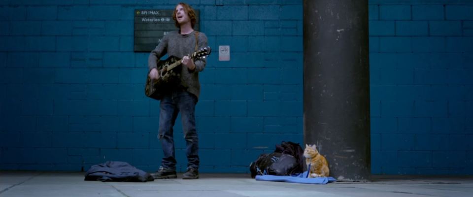  Luke stars as the former drug addict whose fortunes are turned around thanks to his feline friend