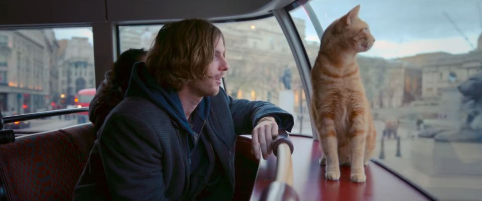  James Bowen, played by Luke Treadaway, and his cat Bob