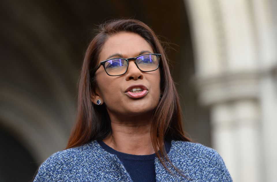  Nigel Farage slammed Gina Miller for her legal challenge over Brexit