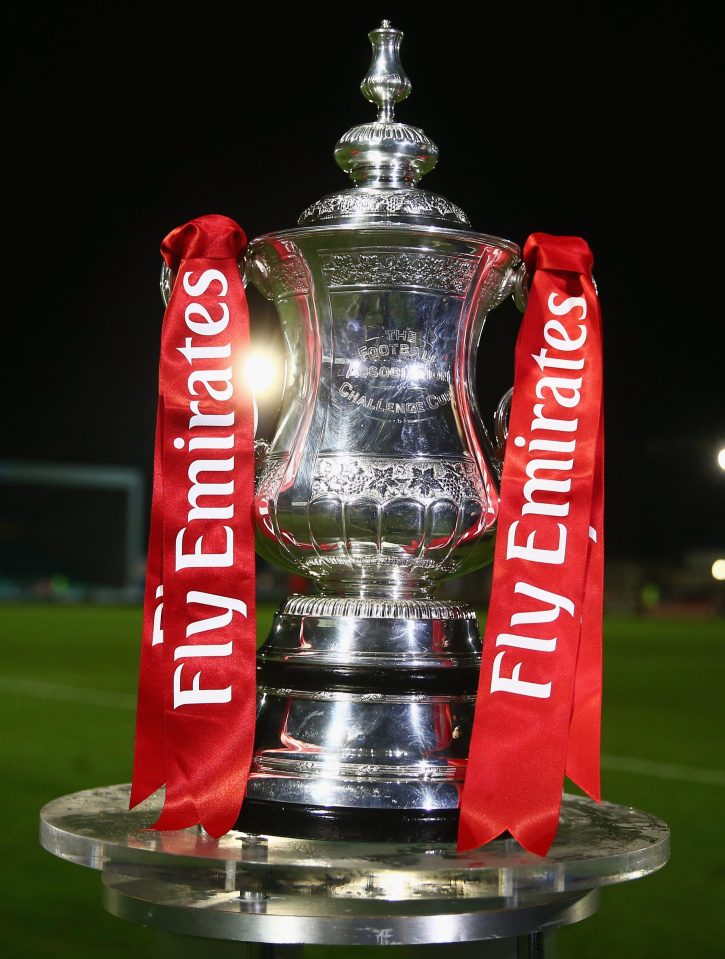  The FA Cup...that's what they are all fighting for