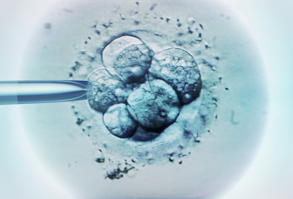  Costly treatments sold to customers seeking IVF have no evidence suggesting they increase fertility