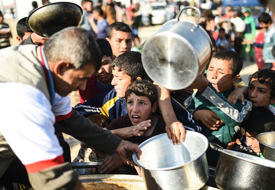  Displaced Iraqi boys wait for food rations in a camp in the Khazir region today