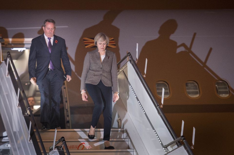  Theresa May hit out at pro-EU MPs and peers as she arrived in India last night