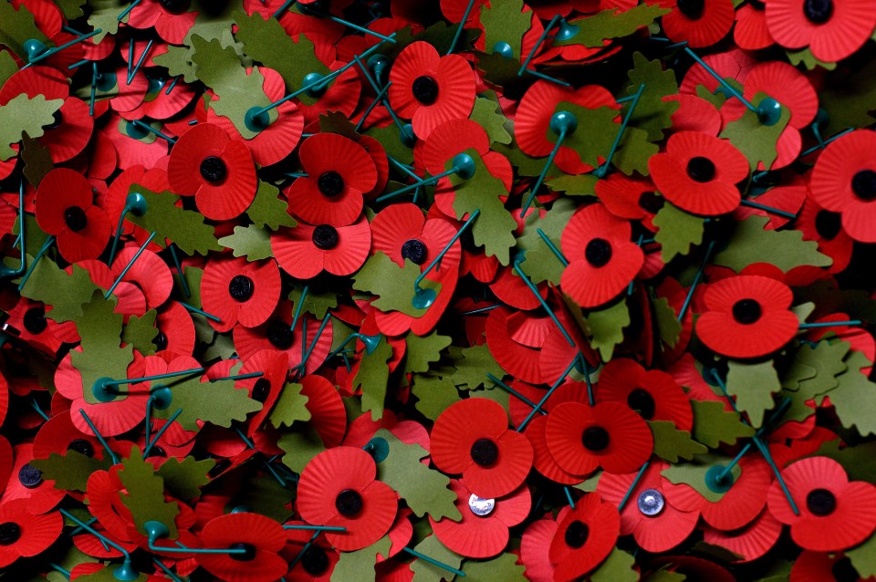 The nation shows its support to the fallen by wearing poppies