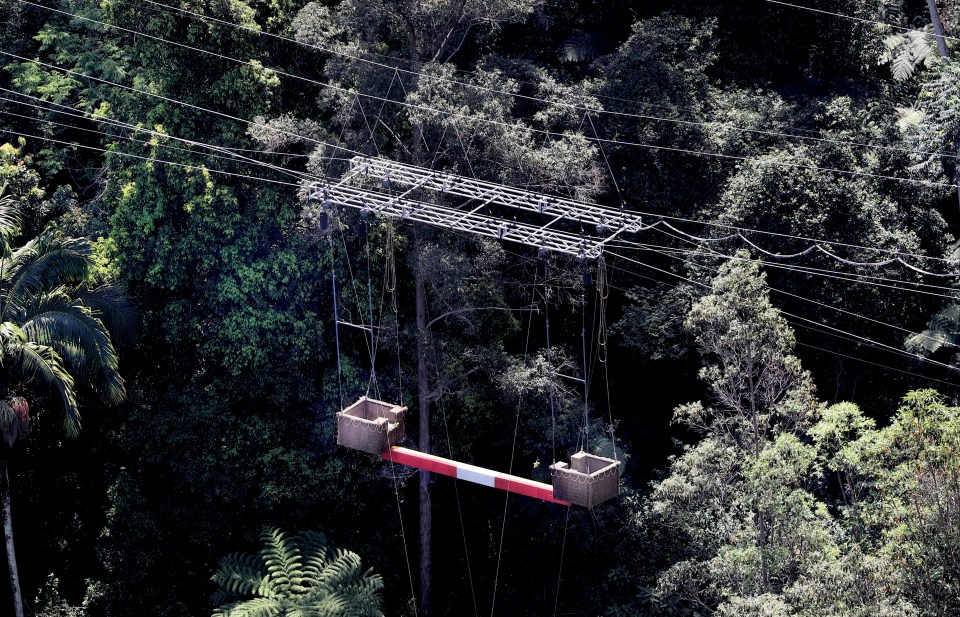  The suspended planks is set for a terrifying challenge amongst the tree tops