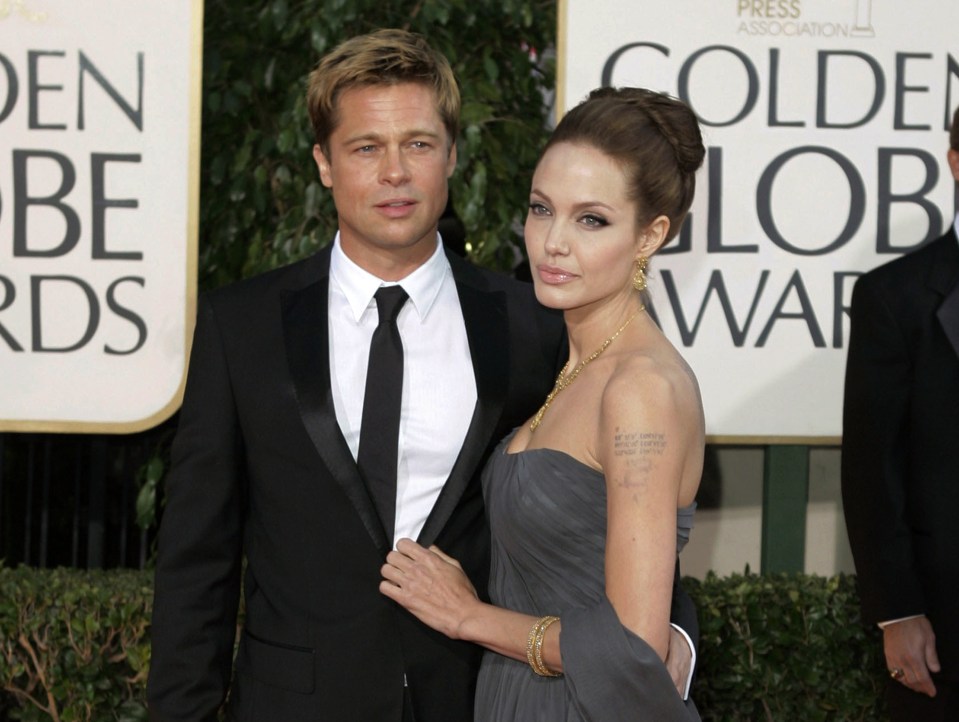  Angelina, who is locked in a custody battle with Brad Pitt, vowed to return to the Vietnam orphanage