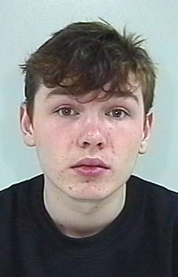  Will Cornick was jailed for life for the brutal murder of his Spanish teacher