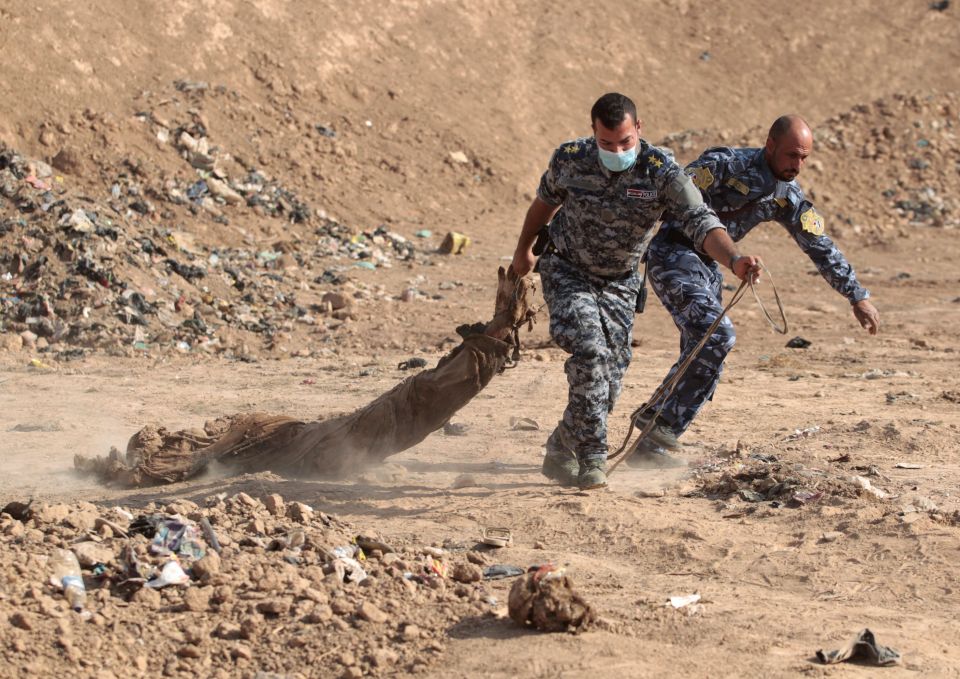  Iraqi forces pull a body out from a mass grave