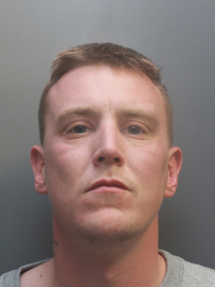  Christopher Davies has been jailed for seven years after killing his pal while high on Spice