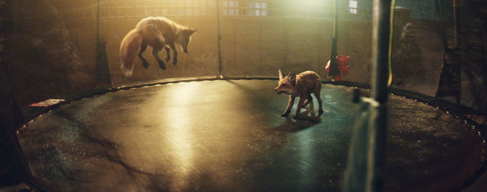  The CGI foxes bounce around on the trampoline