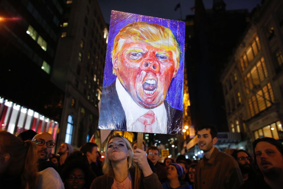  Swine... A Trump protester compares the President-Elect to a pig