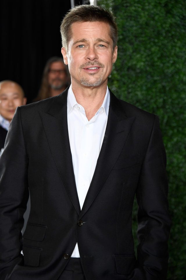  Brad Pitt was cleared of claims he struck son Maddox on a private plane in September