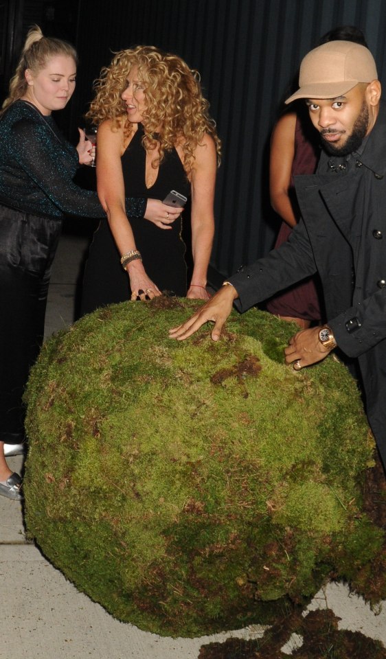  Kelly attempted to steal a ball of moss art from the fancy do