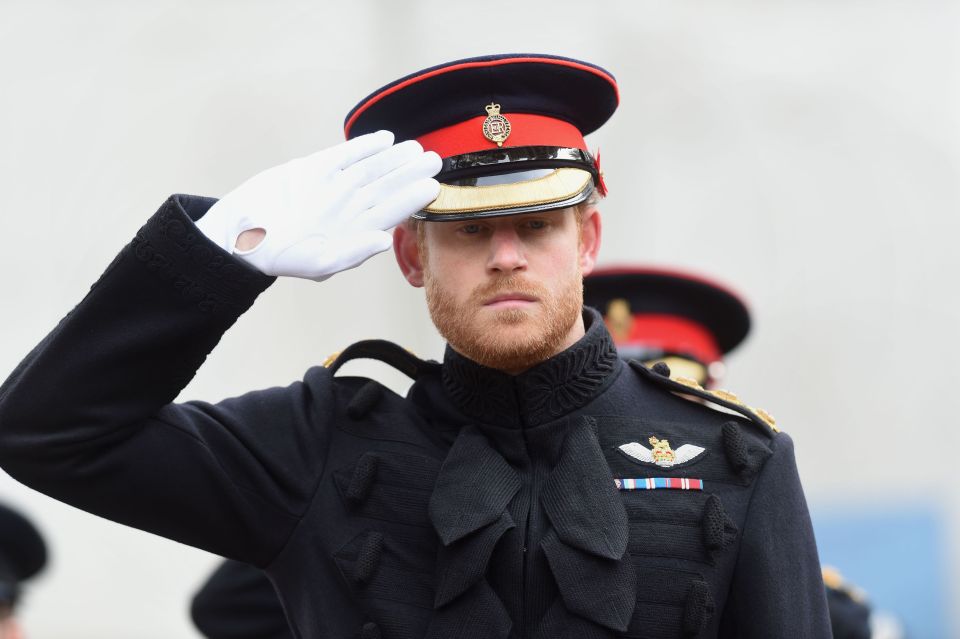 Prince Harry on Armistice Day