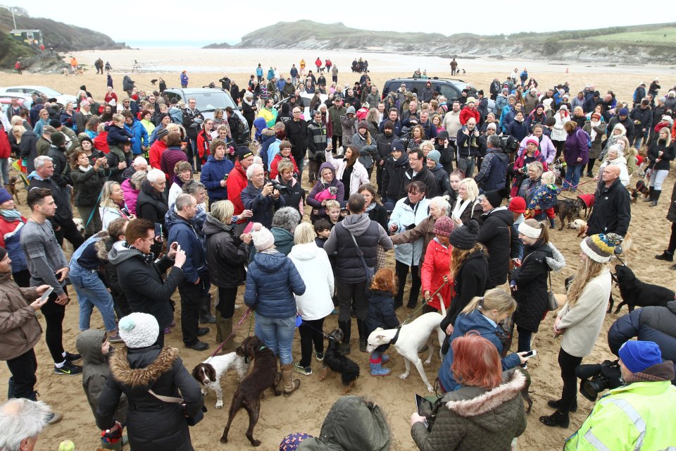  Hundreds of people joined Walnut for his final walk in Newquay