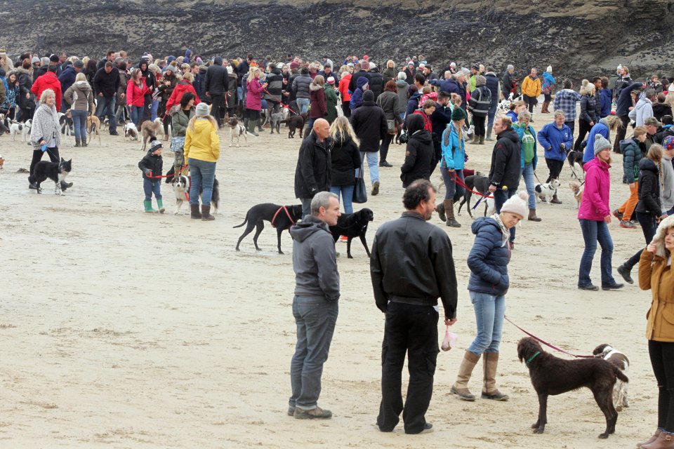  Crowds gathered on Porth beach for the dog walk