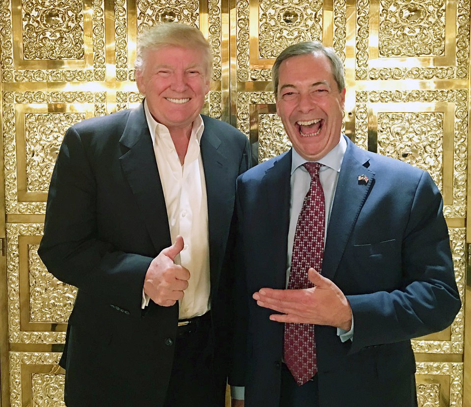  Nigel Farage says he can help No 10 deal with Donald Trump