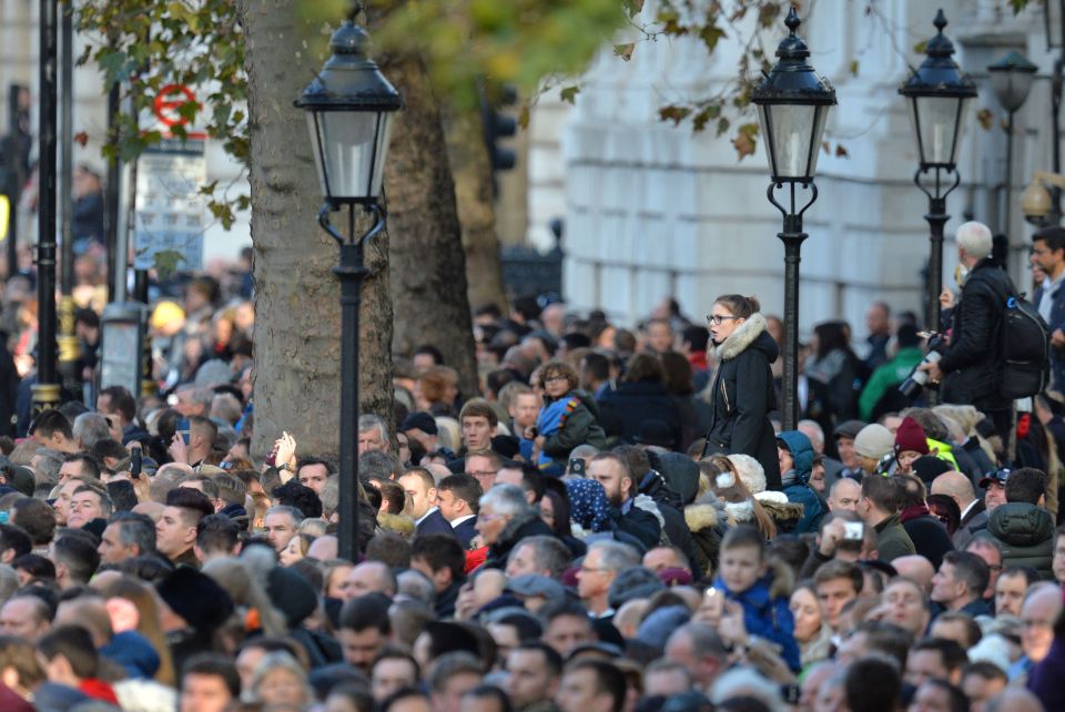 Huge crowds paid tribute to members of the armed forces who died in conflict