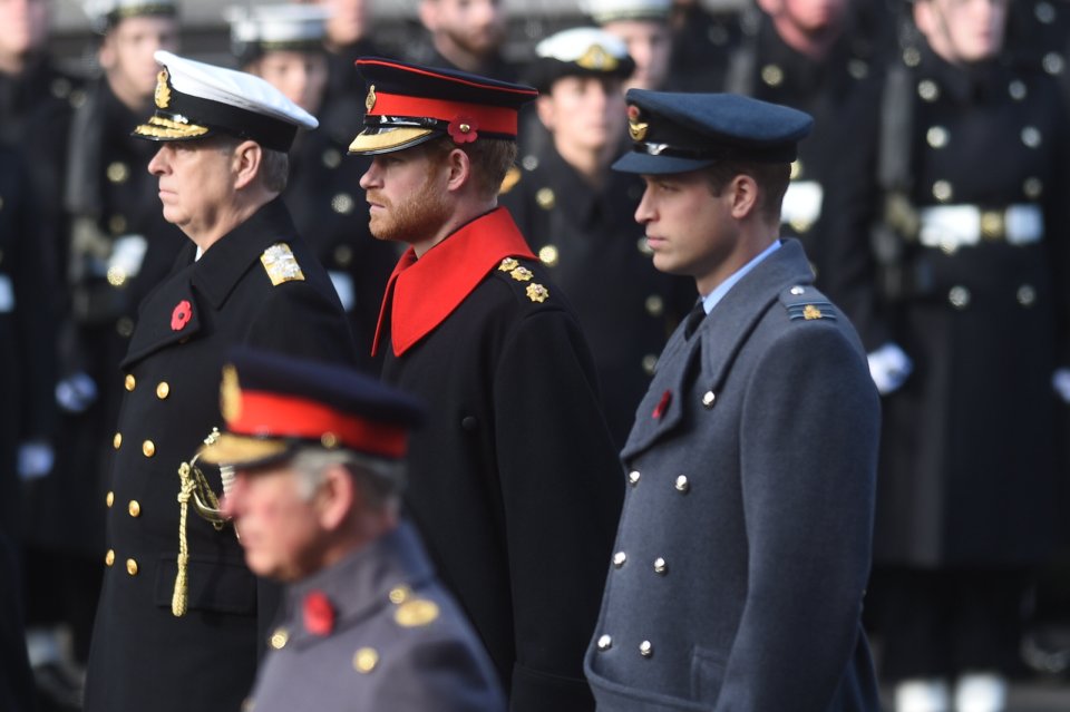 Princes Harry and William were among the thousands who were in central London for the annual Remembrance 