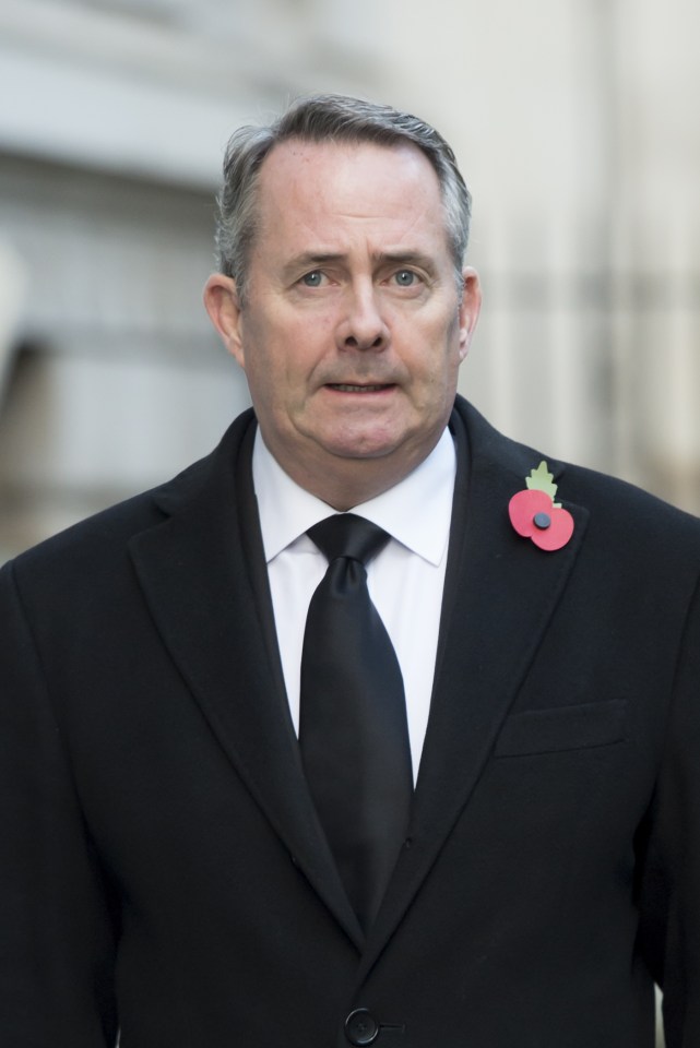  Trade sec Liam Fox is in hot water for opening private lines of communication with Farage