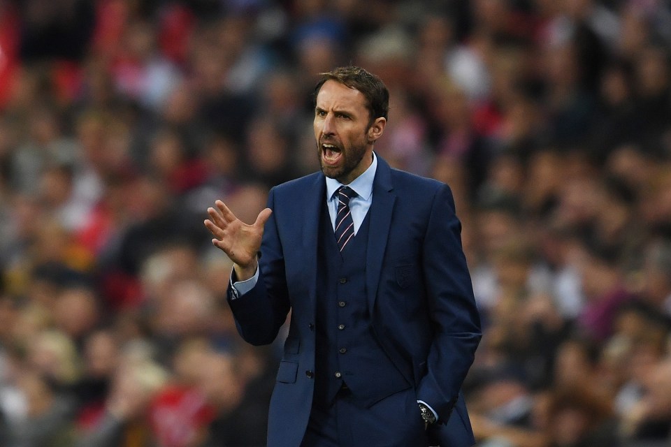  The Spain manager has endorsed Gareth Southgate for the England job