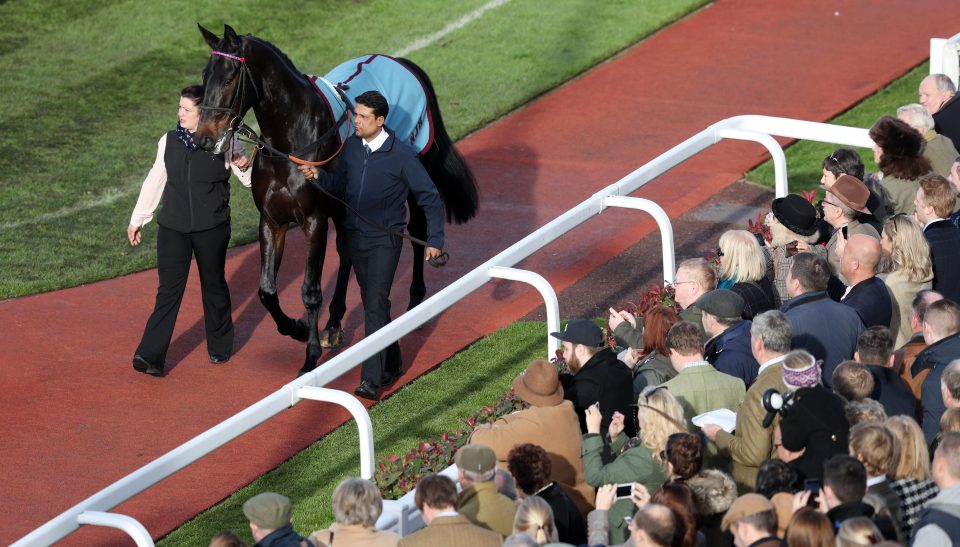  The career of Sprinter Sacre is over after what seemed a minor injury