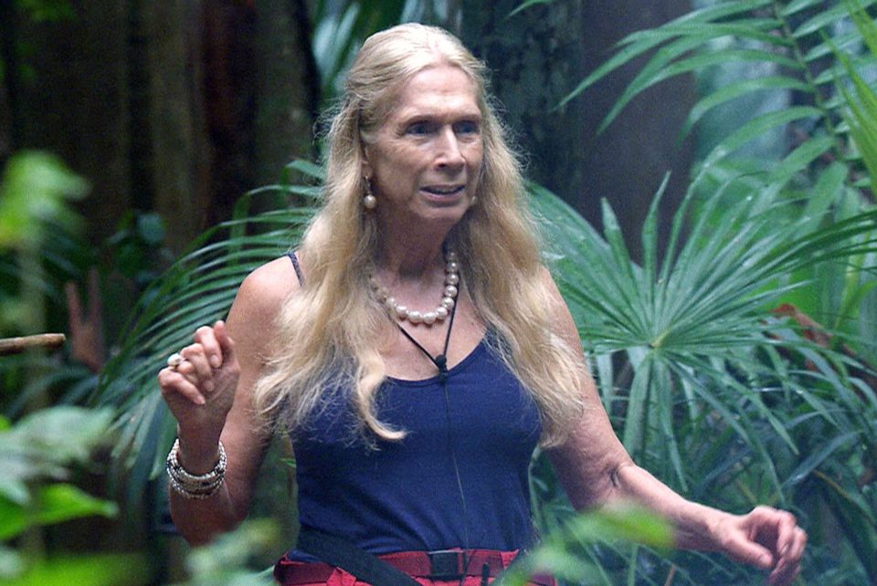  Lady C was a controversial celebrity in the jungle yesterday