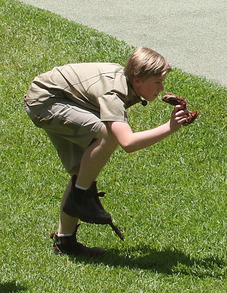  The 12-year-old, pictured here feeding the giant croc, clearly takes after his famous dad