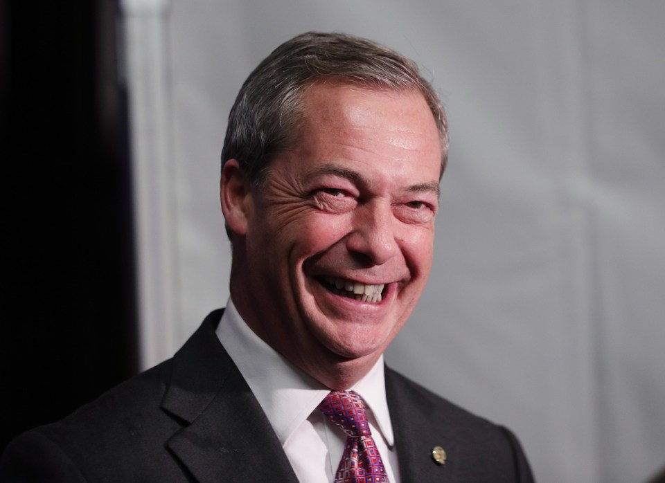  Nigel Farage is the interim leader until December