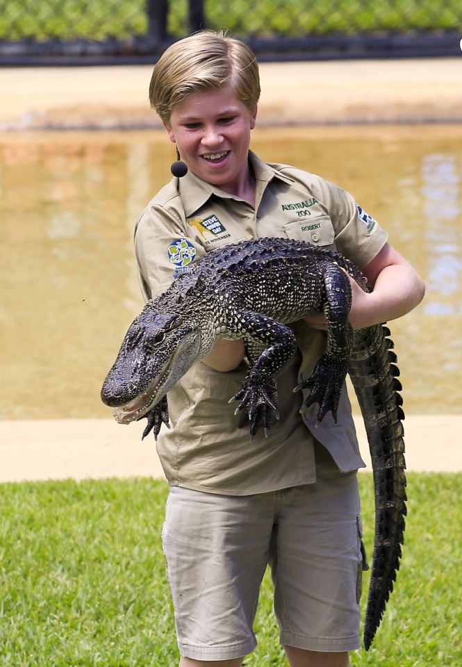  Robert handles a smaller reptile while entertaining the crowd at Australia Zoo in Queensland