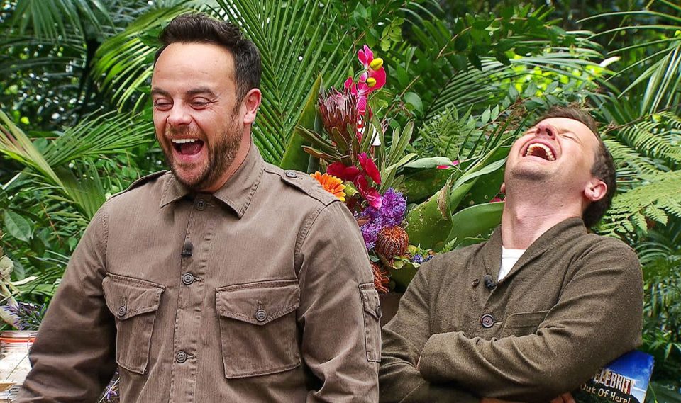  Ant and Dec do their best to keep their cool at a Bushtucker Trial