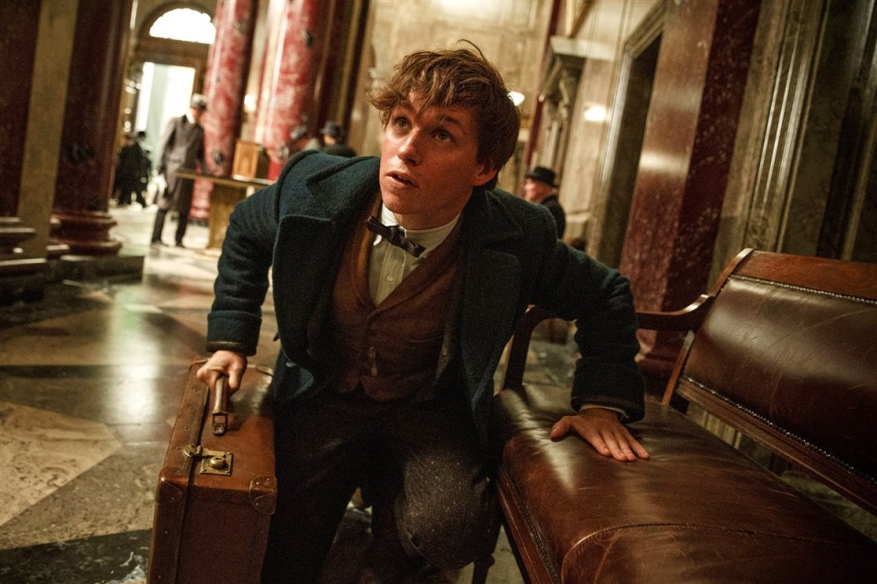  Eddie Redmayne plays Newt Scamander who goes on to write the infamous Hogwarts textbook