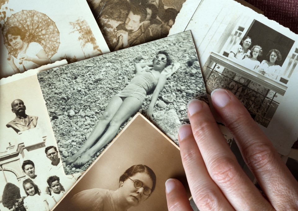  Programmes such as Who Do You Think You Are? have increased the popularity of genealogy