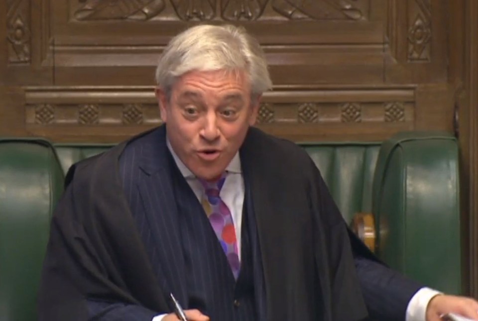  The suggestion crated roars of laughter around the chamber, leading to Commons Speaker John Bercow getting involved