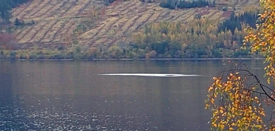  These pictures appear to show some suspicious splashing around Loch Ness