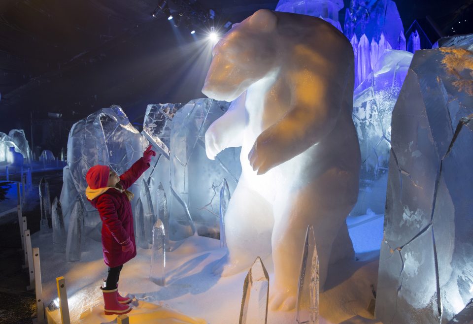  Young visitor gazes up at towering polar bear as she explores the Ice Kingdom