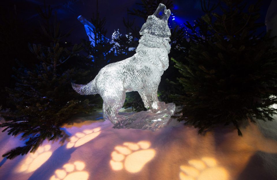  Visitors will see a howling wolf as they voyage across the sea to a frozen island