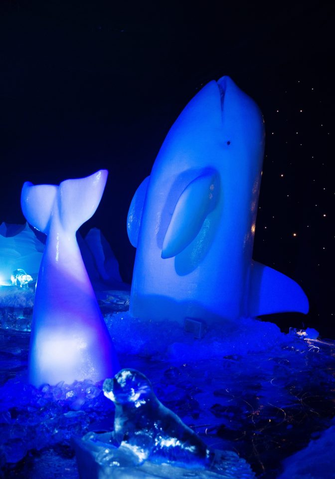  A giant whale sculpture leaps out of the water at the attraction that is now in its tenth year