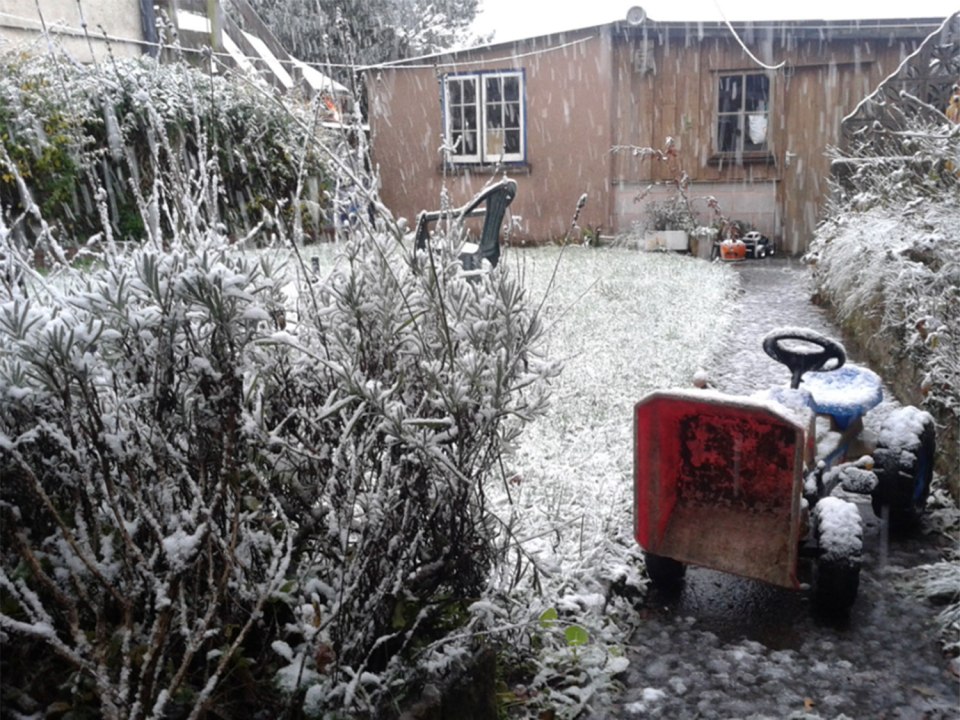  Snow began to fall thick and fast across Devon during this morning's rush hour