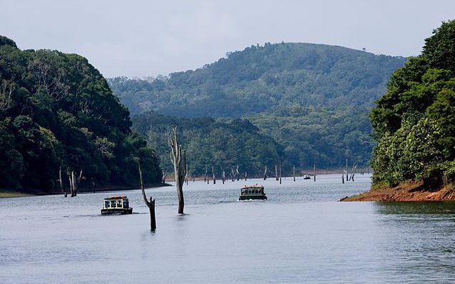  The trip will see participants visit Periyar Tiger Reserve, Kodanad Elephant Rescue Centre and tropical rainforests