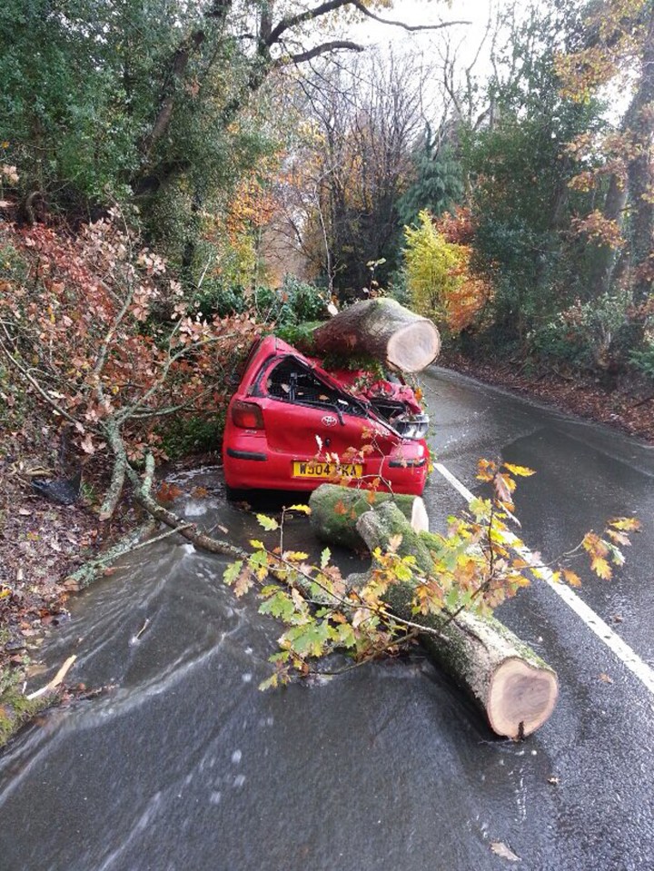  The female driver escaped without injury according to police