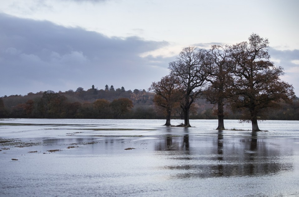  Farmland near Cobham, Surrey, is underwater today after the River Mole burst its banks