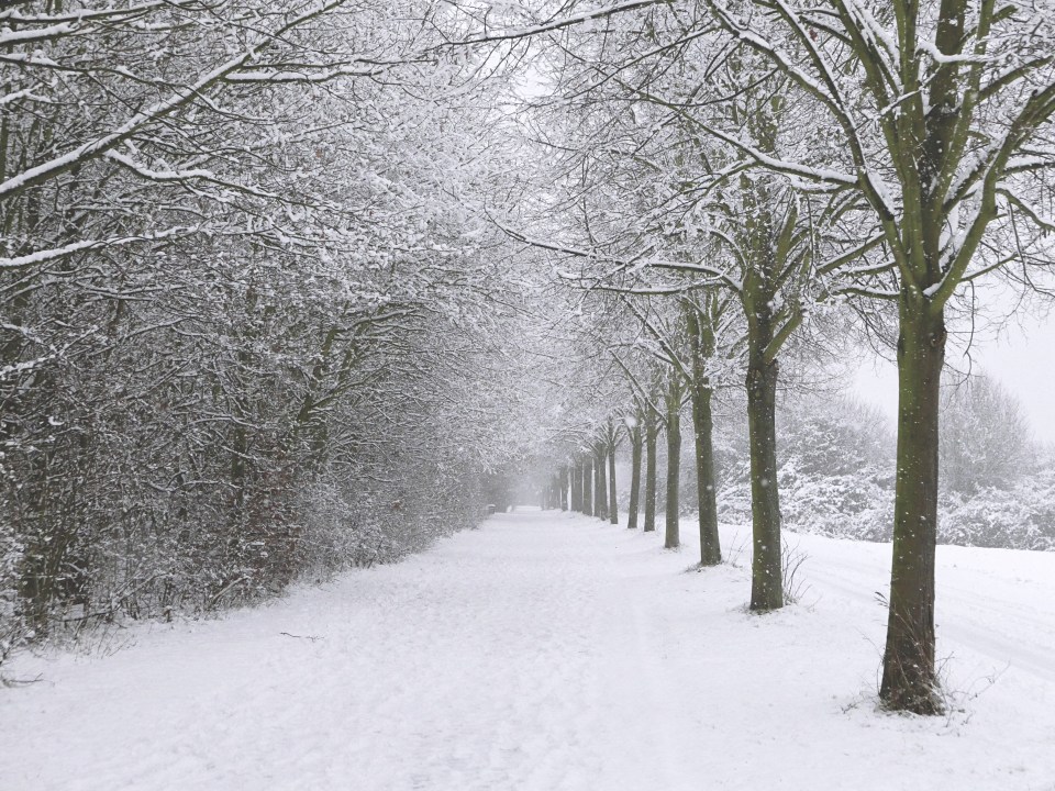  The wintry weather might look nice but an 'abundance of viruses' could affect asthmatics disproportionately