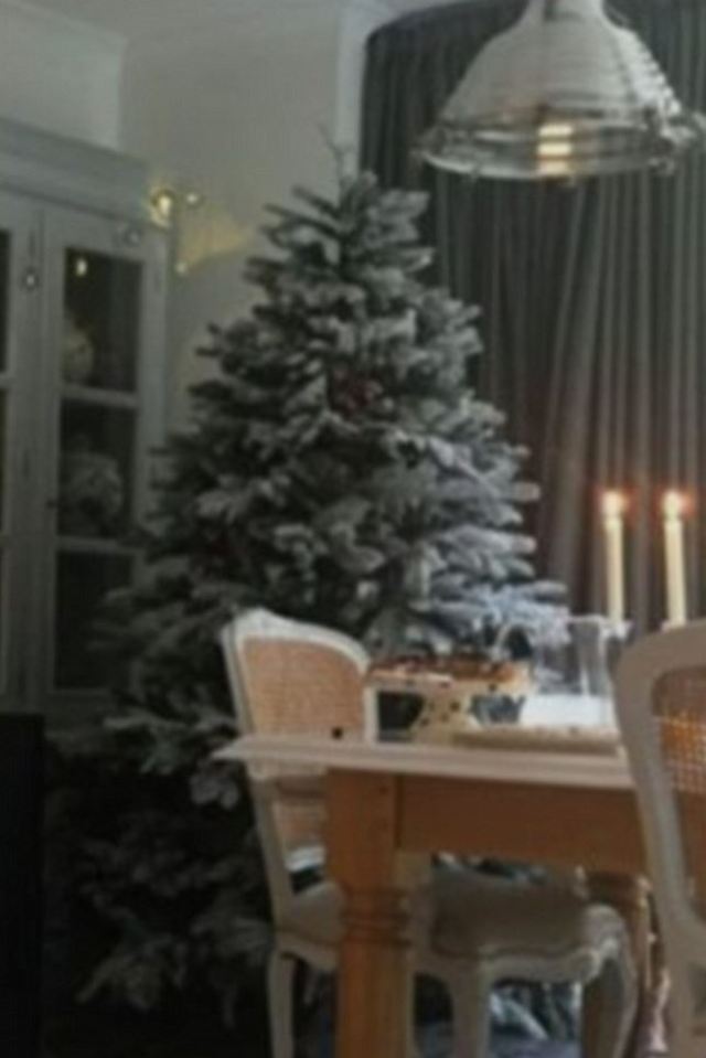  Holly Willoughby shared this snap of her snow covered tree on This Morning