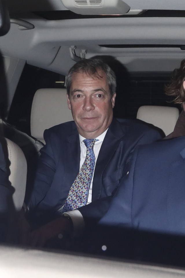  Mr Farage said the PM "doesn't seem to want me" after offering up his services