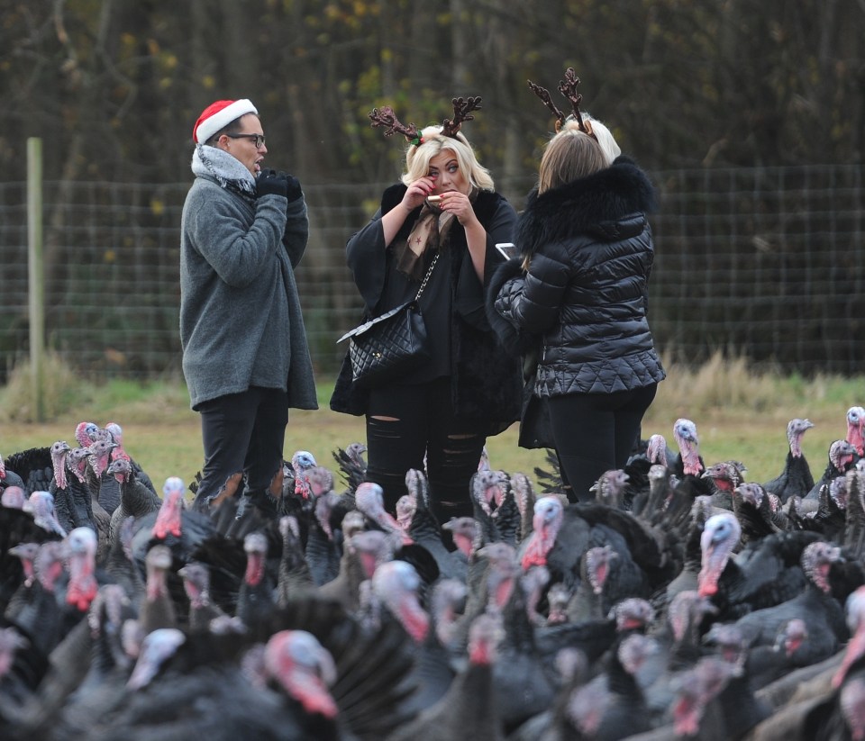  Bobby and Lauren were unnerved by the turkeys