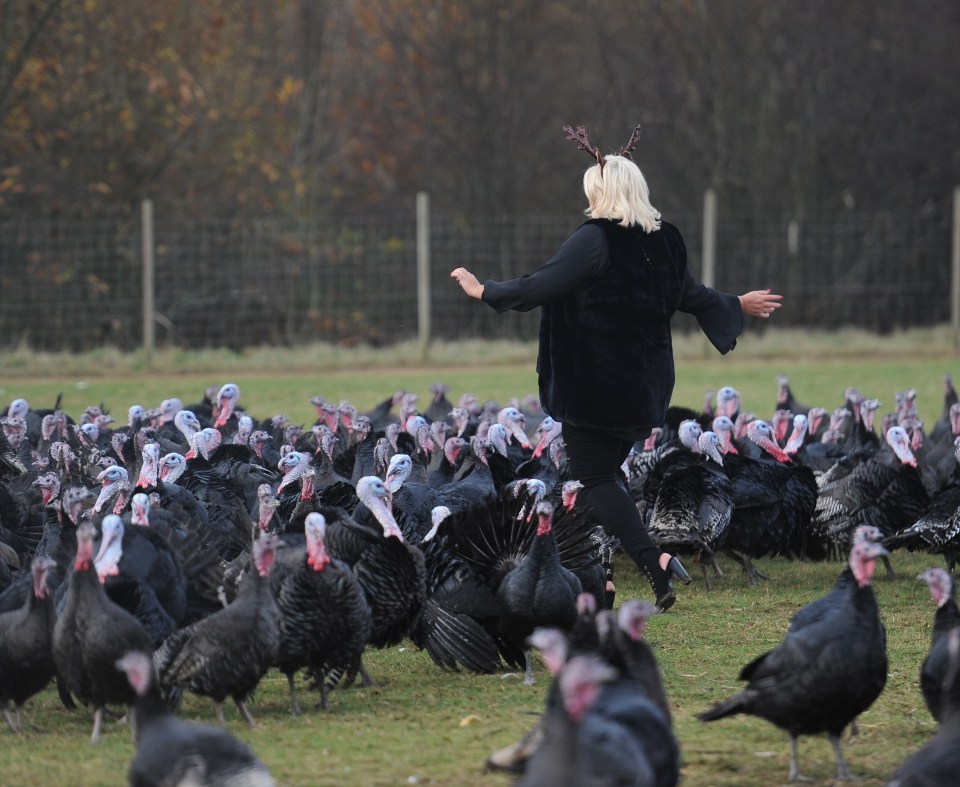  Gemma embraced the turkeys at the farm