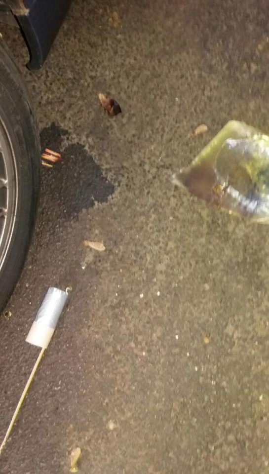 Mel Brown found the petrol bomb under her car as she prepared to take her children to school